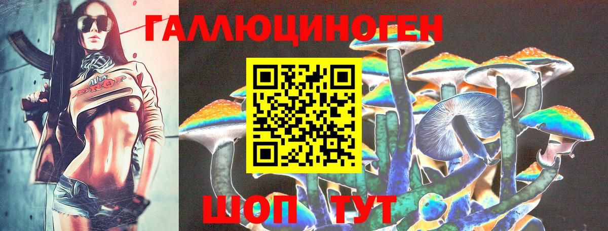 Галлюциногенные грибы Psilocybine cubensis Арсеньев